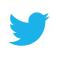 twitter logo bird